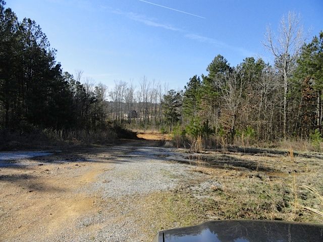 0 Rushing Springs Rd, Lincoln, AL 35096