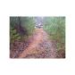 15 Point Of View Road, Blue Ridge, GA 30513 ID:3636241