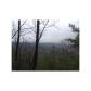 15 Point Of View Road, Blue Ridge, GA 30513 ID:3636245