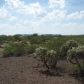 47345 E Panoramic View, Oracle, AZ 85623 ID:2659057