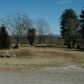 515 Hwy 60, Mineral Bluff, GA 30559 ID:3264934