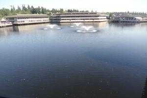 6 Lake Bellevue Dr Apt 208, Bellevue, WA 98005