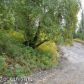 2451 N Larkspur Hill Circle, Wasilla, AK 99654 ID:3957274