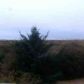 109 Sand Dune Avenue NW, Ocean Shores, WA 98569 ID:1669286