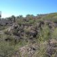 4235 W Weiding, Tucson, AZ 85746 ID:3483807