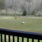 225 Cohutta Ranch Road, Blue Ridge, GA 30513 ID:2636152