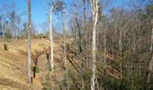 Cliffs Mtn Park Sec 1 Lot 56 (Apn# Marietta, SC 29661