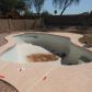 19605 N 51st Drive, Glendale, AZ 85308 ID:1654090