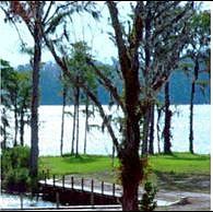 Lot 6 Jackson Shores - Waterfront, Florala, AL 36442