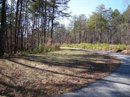 0 Twin Fawns Trail, Dahlonega, GA 30533