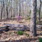 299 Little Hendricks Mountain Road N, Jasper, GA 30143 ID:3133950