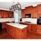 4191 Lantern Hill Drive, Dacula, GA 30019 ID:3436738