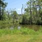 L 17 Bl B Bayou Rd North, Lillian, AL 36549 ID:1530067