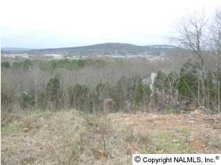 Greentree Trail lot 12/blk 1, Huntsville, AL 35803