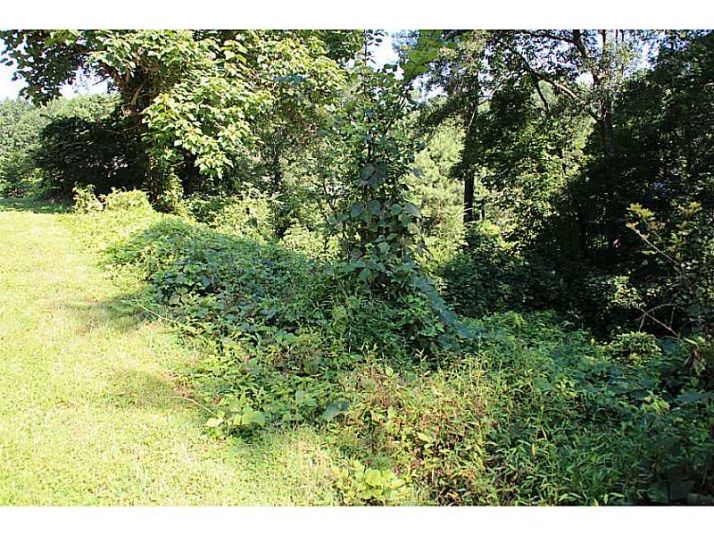 0 Lot 026 027 Finger Creek Drive, Lilburn, GA 30047