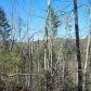 1691 Shade Tree Lane, Dawsonville, GA 30534 ID:3134556