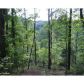 13 River Rock Road, Dahlonega, GA 30533 ID:2688755