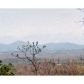 7338 Skyline Drive, Jasper, GA 30143 ID:3226623