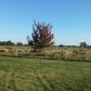 15917 Norman Rd, Yale, MI 48097 ID:1248893