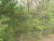 Lot 4 Lake Point Drive Calico Rock, AR 72519