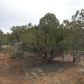 1704 W. Riley, Payson, AZ 85541 ID:1931985