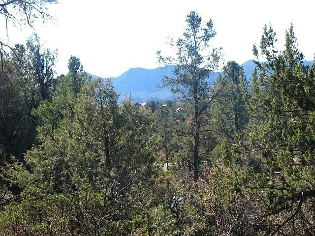 1111 N Scenic Drive, Payson, AZ 85541