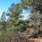 1111 N Scenic Drive, Payson, AZ 85541 ID:1931893