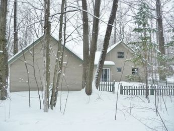 96 Caduca Ln, Roscommon, MI 48653