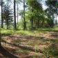 7751 TOOGOODOO RD, Hollywood, SC 29449 ID:1092780