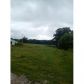 0 CO RD 641, Hanceville, AL 35077 ID:1386706