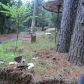 3875 Deer Canyon Rd, Placerville, CA 95667 ID:131006