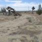 11524 Paramount Road, Phelan, CA 92371 ID:1141381