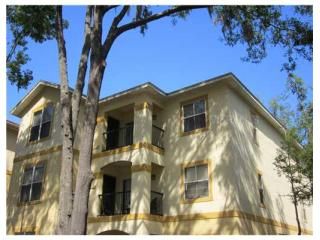 5610 Pinnacle Height Circle #312, Tampa, FL 33624