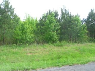 SHOAL CREEK TRAIL, ARAB, 35016, Arab, AL 35016