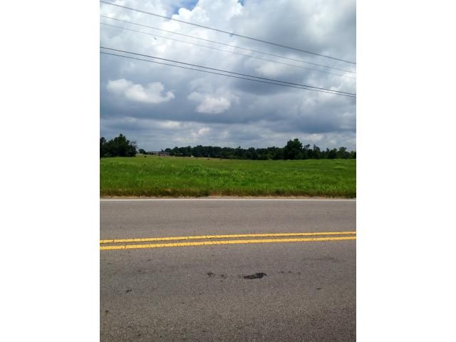 0 HWY 91, Hanceville, AL 35077