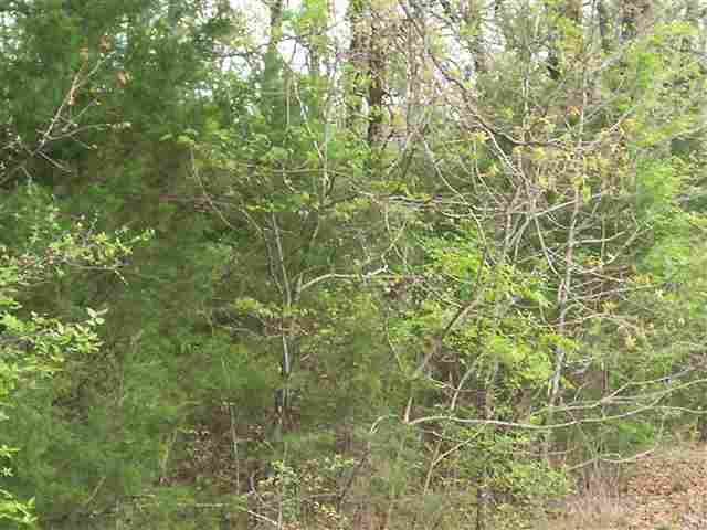 Lot 4 Lake Point Drive, Calico Rock, AR 72519