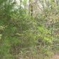 Lot 4 Lake Point Drive, Calico Rock, AR 72519 ID:1170035