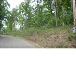 000 Riverfront Road Lot 22, Rogersville, AL 35652