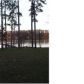 000 Riverfront Road Lot 22, Rogersville, AL 35652 ID:1135244