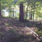 Lot 11 Cardinal Terrace, Bull Shoals, AR 72619 ID:1166828