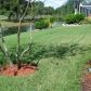 18710 Forest Glen Ct, Tampa, FL 33647 ID:2549028