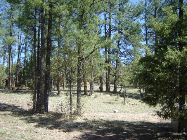 Lot 44 Hunter Creek, Payson, AZ 85541