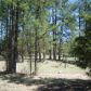 Lot 44 Hunter Creek, Payson, AZ 85541 ID:1931811