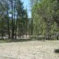 Lot 44 Hunter Creek, Payson, AZ 85541 ID:1931815