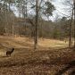 7830 Thunder River Way, Cumming, GA 30028 ID:4468529