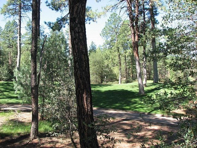 408 N. Evening Primrose Circle, Payson, AZ 85541