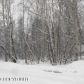 21717 Blair Street, Chugiak, AK 99567 ID:1539995