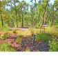 7391 TOOGOODOO RD, Hollywood, SC 29449 ID:1890531