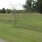 55 Bowman Road, Albertville, AL 35951 ID:1389643