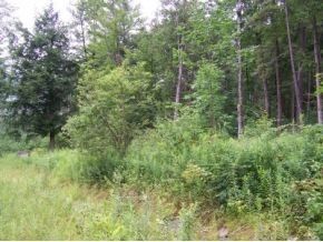 3 Off Oakes Road, Waterville, VT 05492